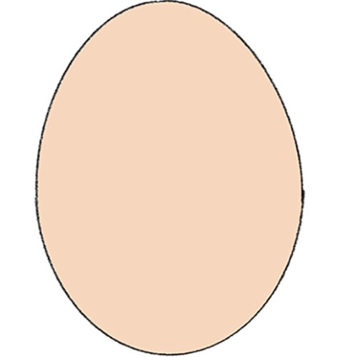 chickenPoo Coalition